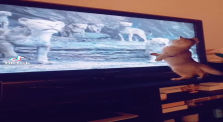 Kitty Watching Lion King by Funny Videos